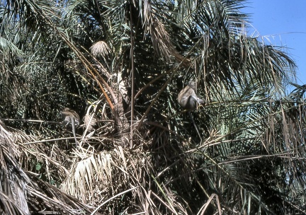 Image25
