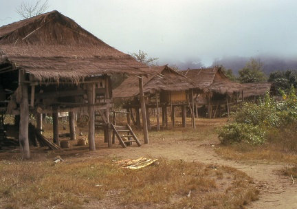 Image33