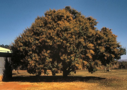 Image11